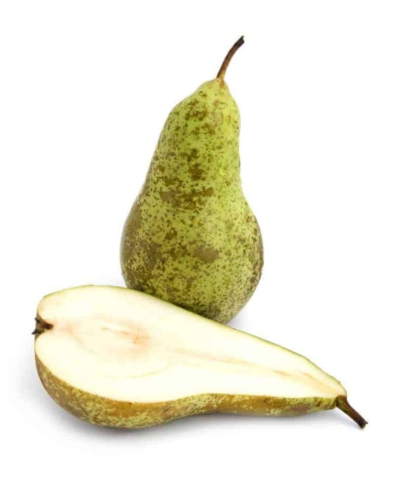 conference-pear-fruit